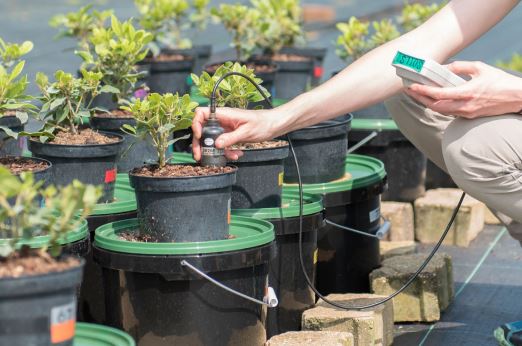 Monitoring pots with different peat replacement materials